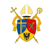 https://diecezja.swidnica.pl/